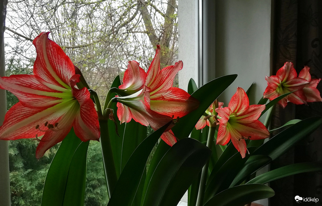 Bent is, kint is tavasz! :) 