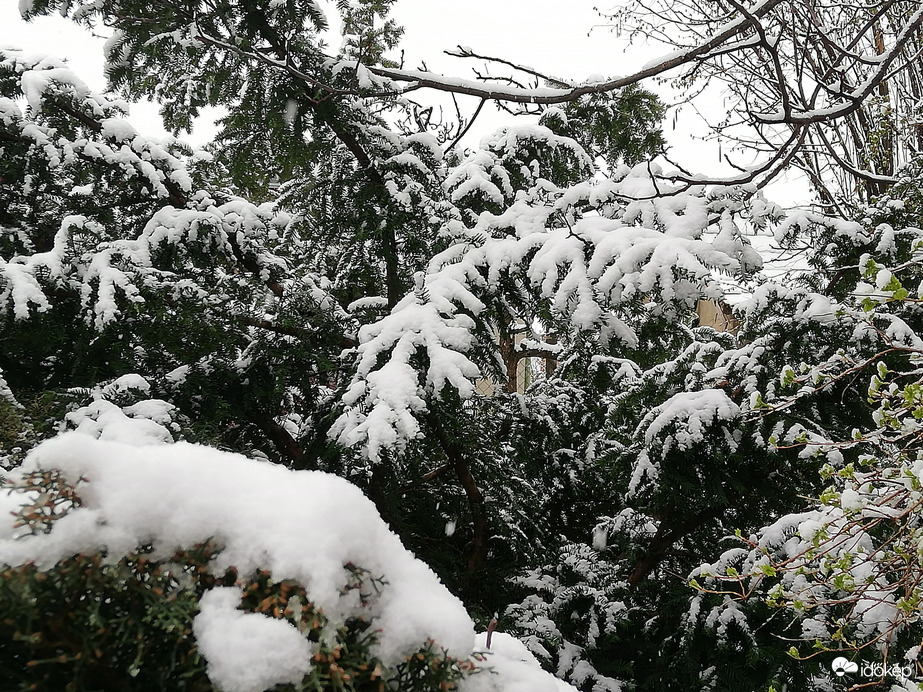 Polgárdi is karácsonyi hangulatban 04.03.