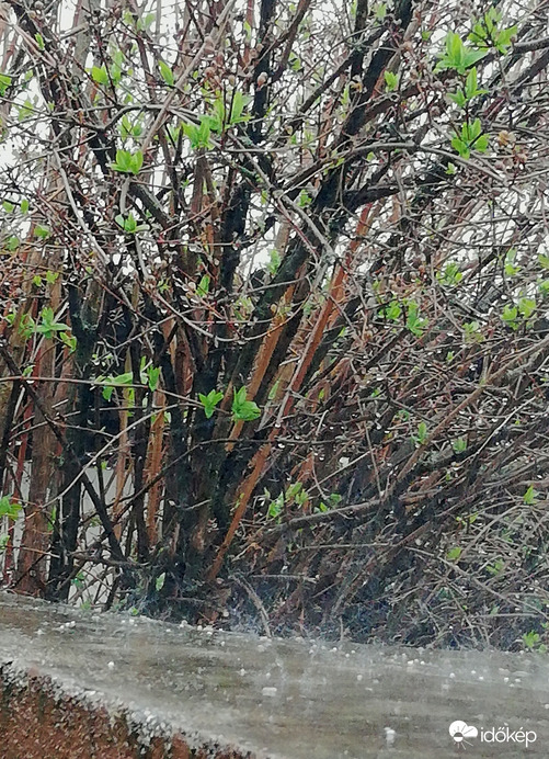 Polgárdi, zivatar, szerencsére kevés jéggel