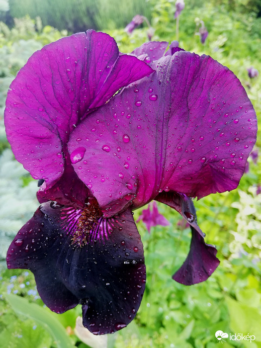 Volt egy kis eső :) Polgárdi 