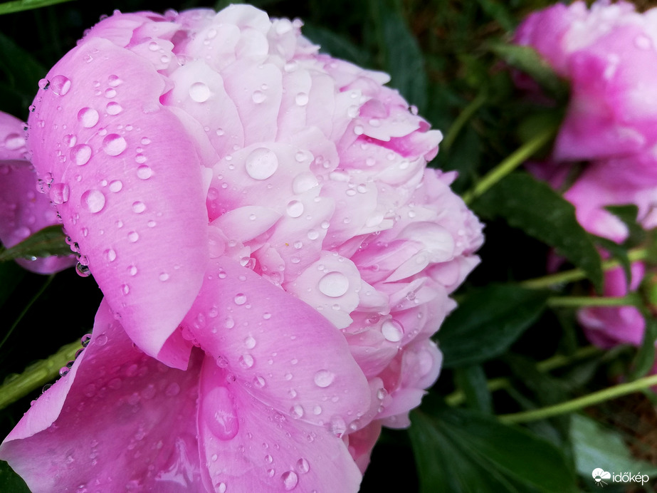 Jó kis zuhé volt! :) Polgárdi 