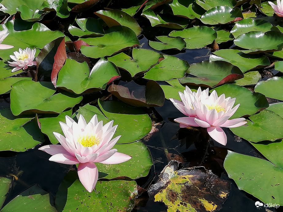 Tatai Fényes Tanösvény