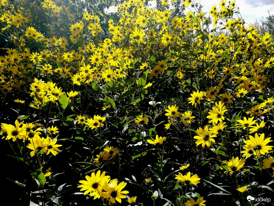 Nézz az ég (fény) felé! :) 