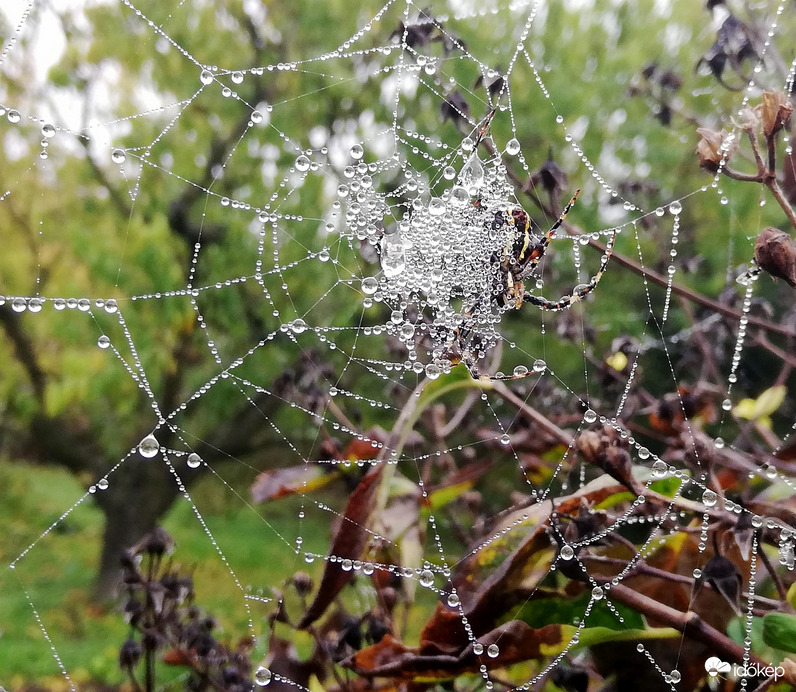 Ma nálunk is csak pára... 