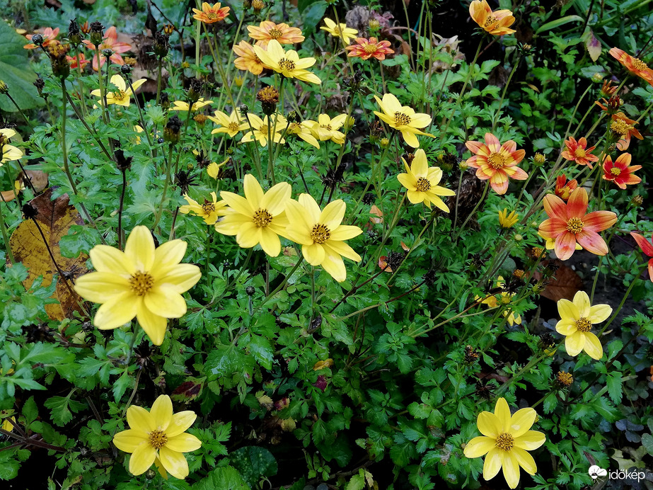 Kitartanak, hogy jobb kedvem legyen :) 