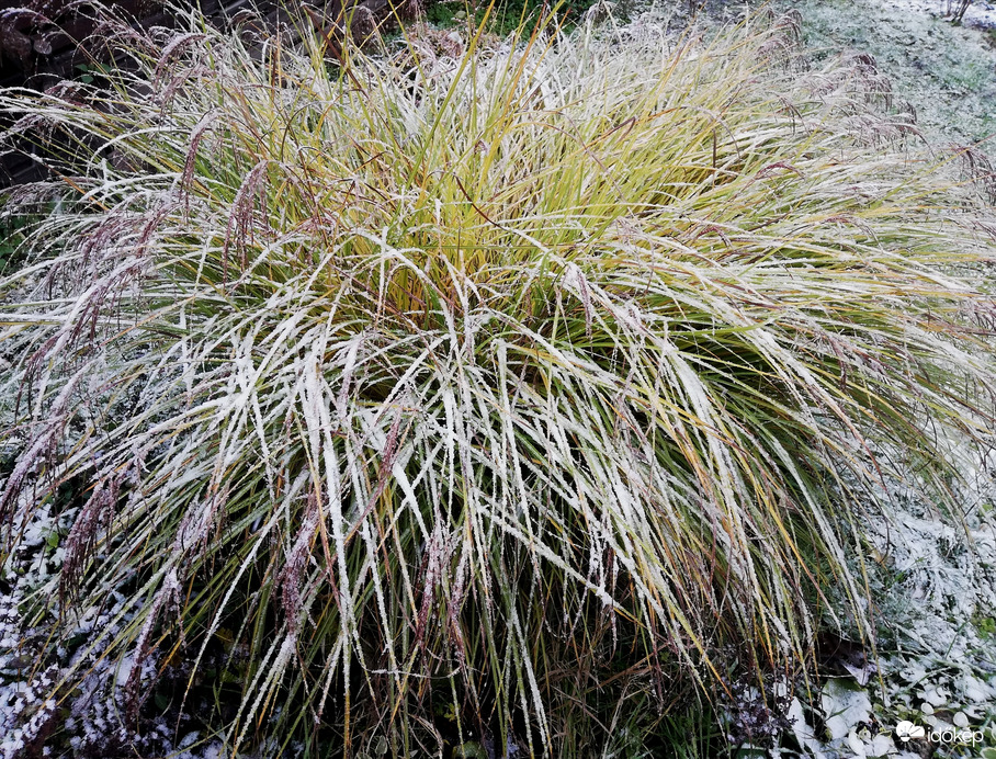 Nehéz az első hó! Polgárdi 