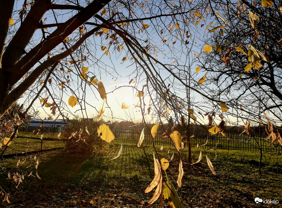 Mikulás-napi ragyogás, Polgárdi 