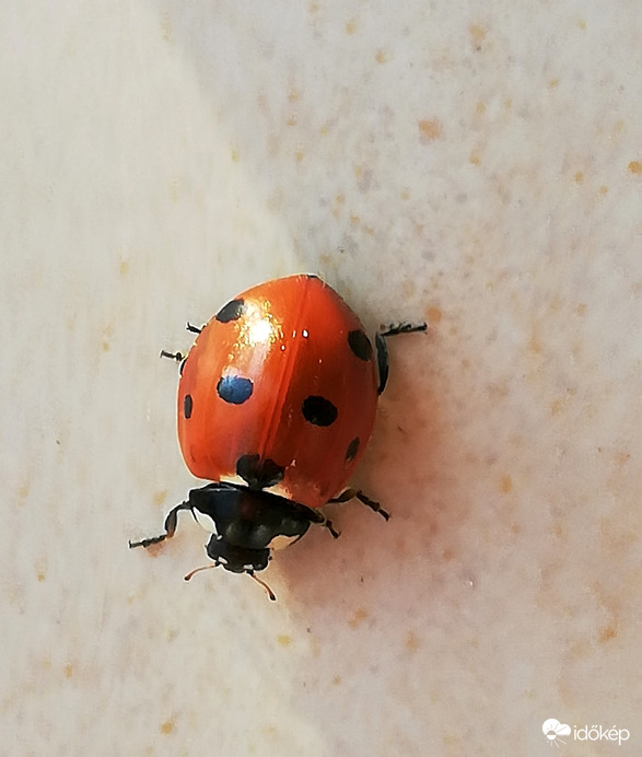 Mit keresel itt, december 12-én? :) 