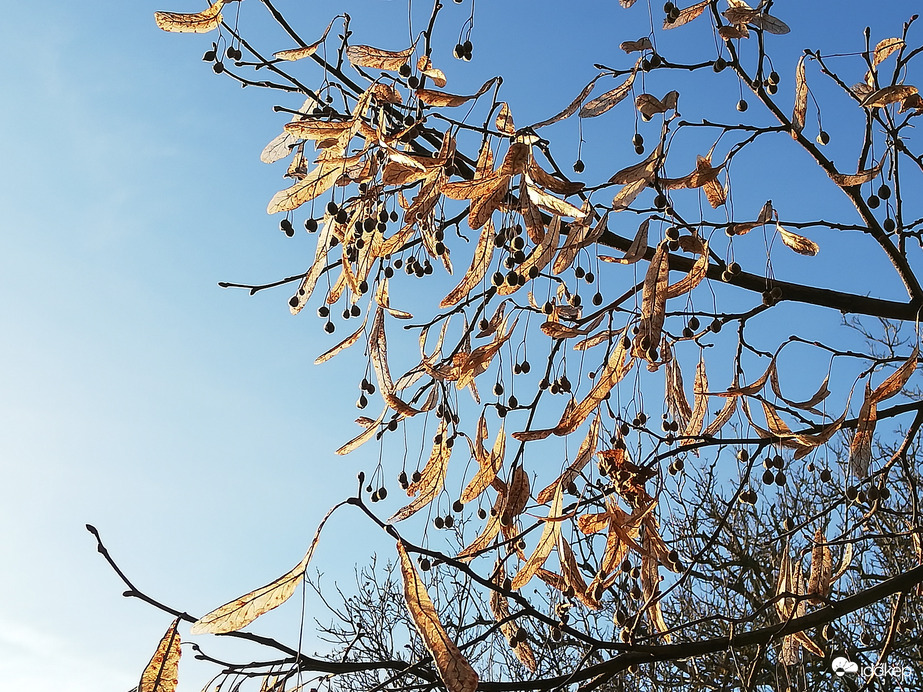 Verőfényes délután :) 