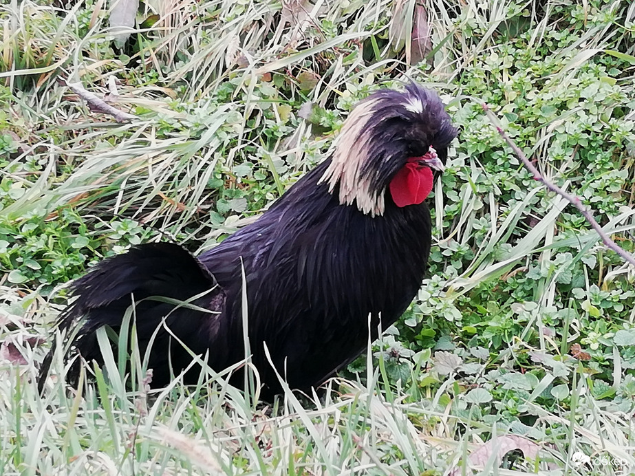 Milyen a frizurám? :) 