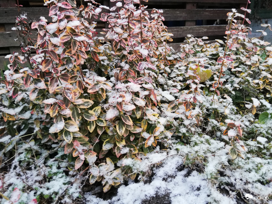 Polgárdi, már megmarad a hó 