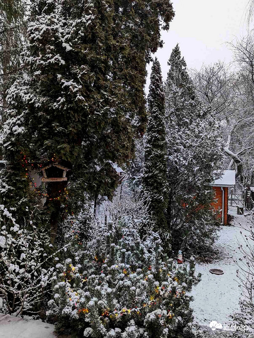 Karácsonyi hangulatban :) 