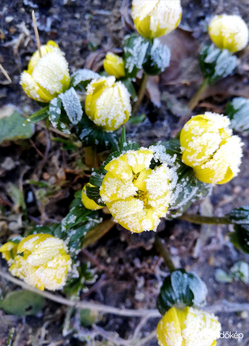 Polgárdi 8:30-kor, mínusz 10 