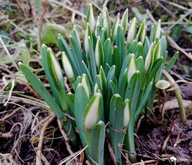 Majd később kinyílunk! :)) 