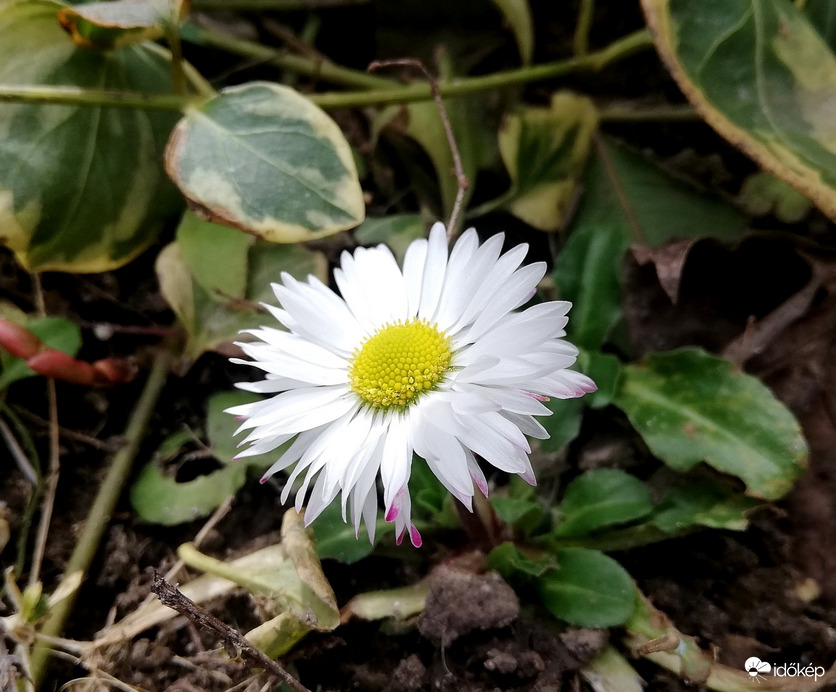 Tavaszi apróság :) 