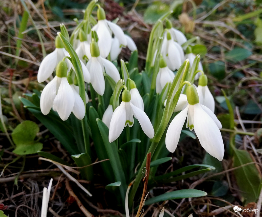 "Későn" nyílók :) 