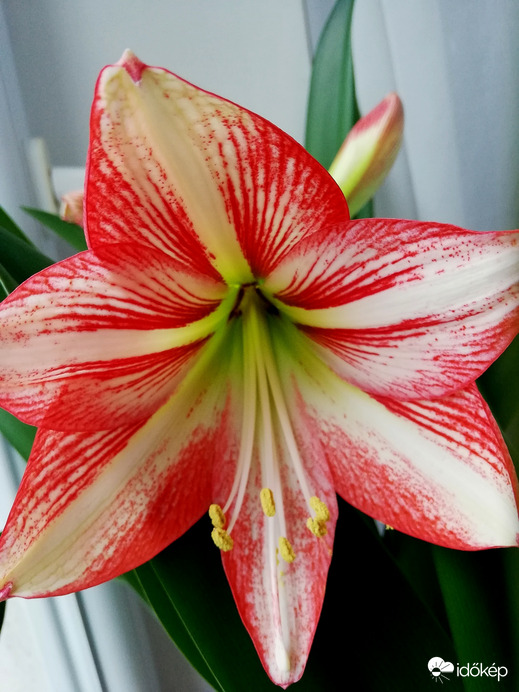 "Csak" egy benti szépség :) 