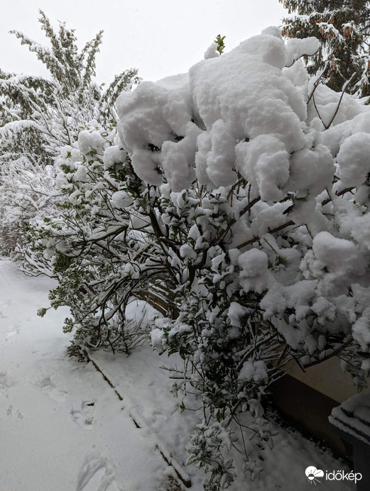 Időkép 19. szülinapjára! 