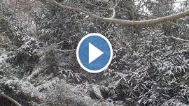 Polgárdi, hordja a szél a havat