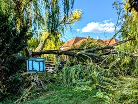 Polgárdi, a viharos szél következménye 