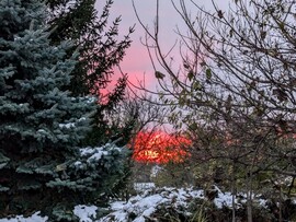 Polgárdi, látvány a kertből nézve