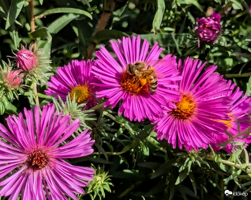 Polgárdi, ma még kellemes idő volt :)