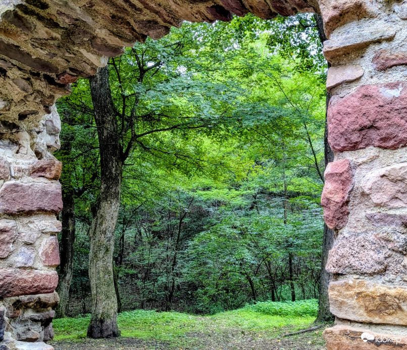 Pálos Kolostorromnál, Salföld 