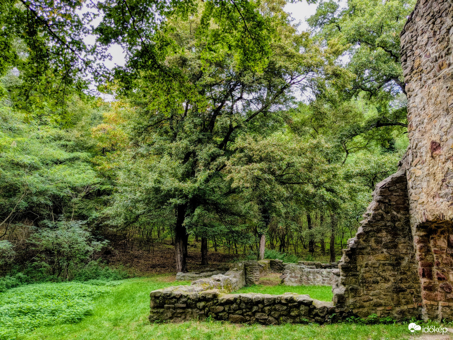 Pálos Kolostorromnál, Salföld 