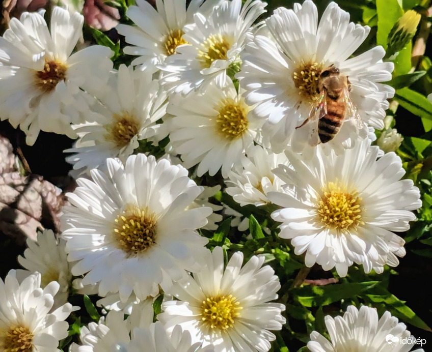 Polgárdi, szép idő, 17 C