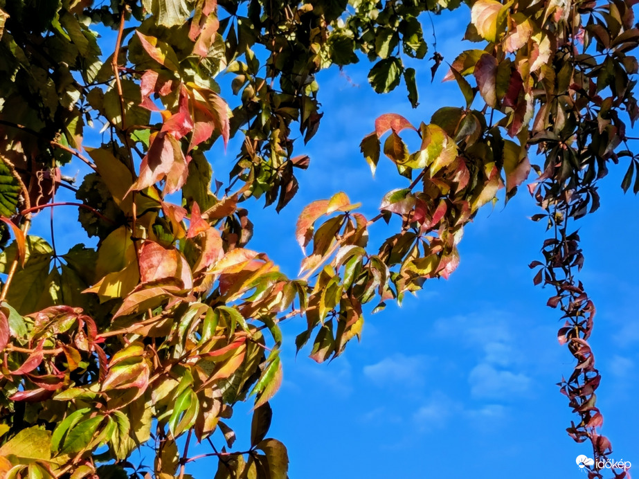 Polgárdi, közepesen felhős, élénk É-Ny-i szél, 16 C