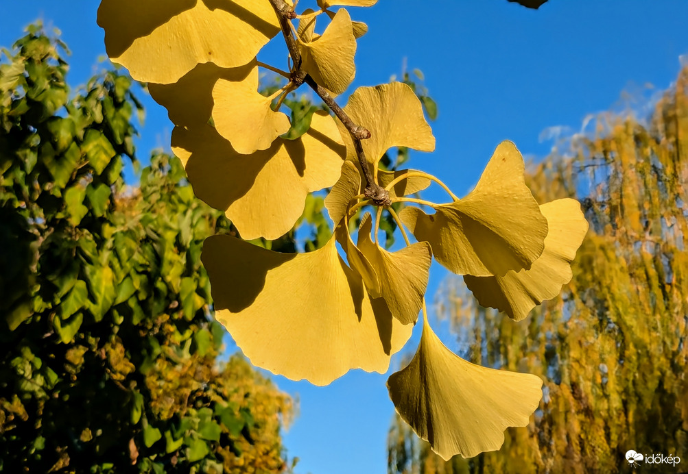 Polgárdi, napsütéses reggel :)