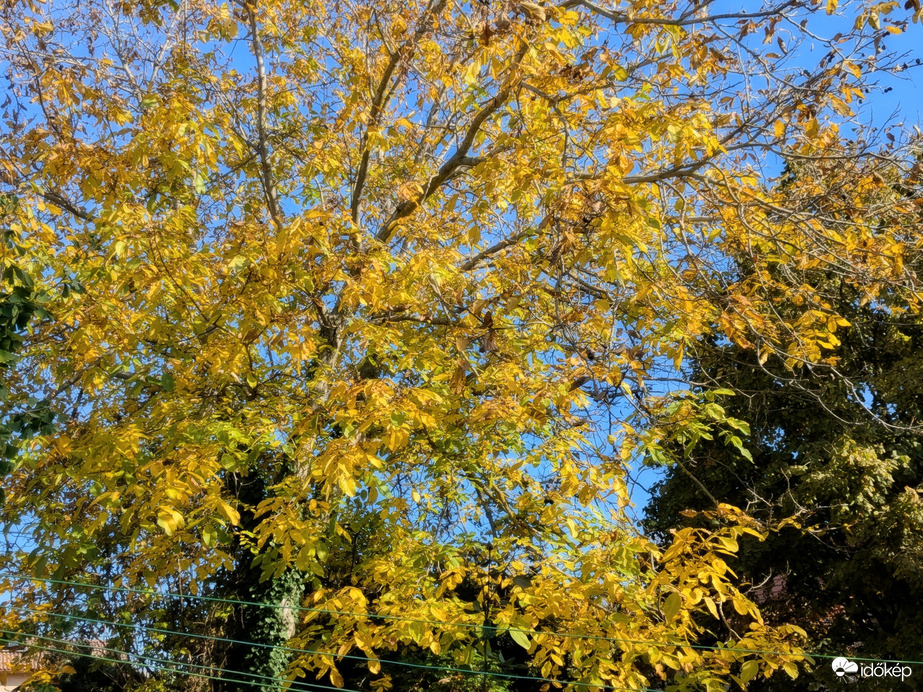 Polgárdi, gyönyörű idő, 20 C