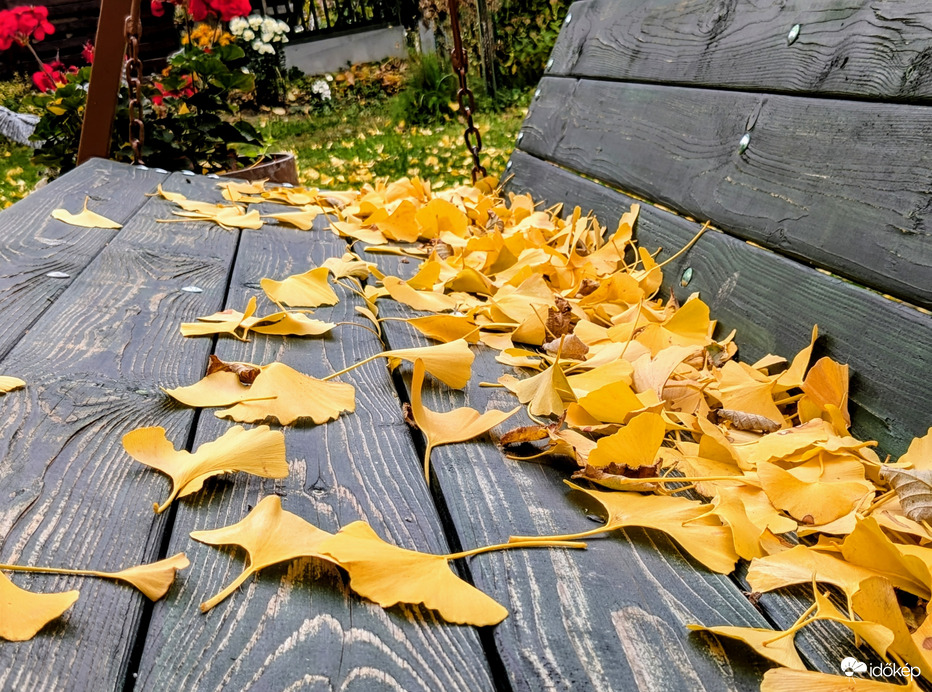 A szél gyűjteménye :)