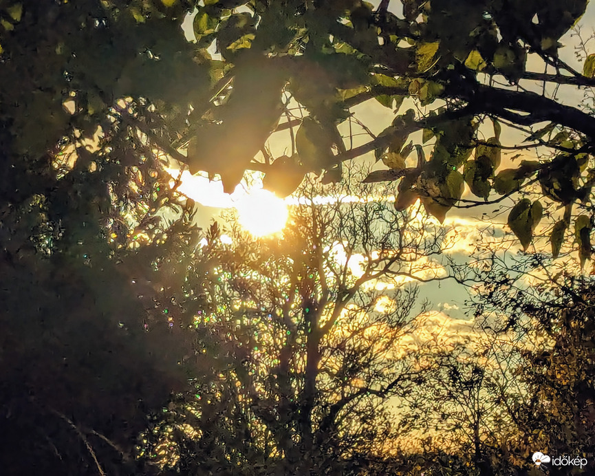 Délutáni ragyogás 