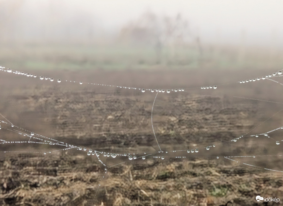 Polgárdi, első ködös reggelen 