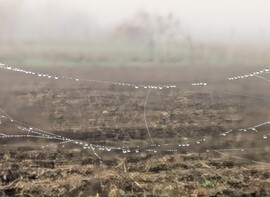 Polgárdi, első ködös reggelen 