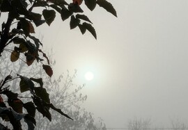 Polgárdi, első ködös reggelen 