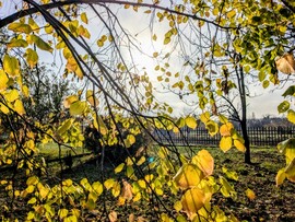 Polgárdi, végre kisütött a Nap! :)