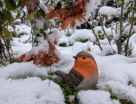 Őt legalább le tudom fotózni! :D