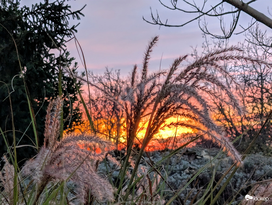 Polgárdi, Naplemente fényei a kertben 