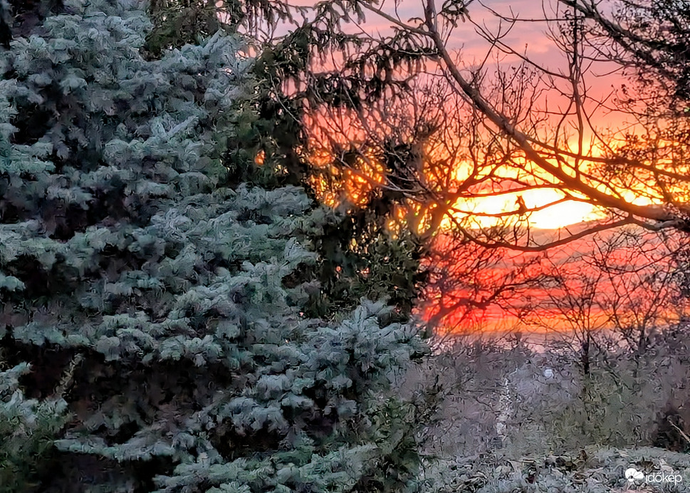 Polgárdi, Naplemente fényei a kertben 