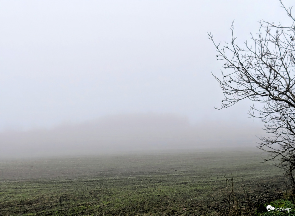Polgárdi, domboldalas ködös 