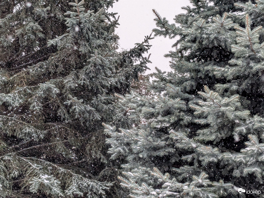 Polgárdi, dél óta kitartóan havazik, -2 C