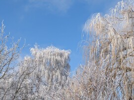 Polgárdi, kisütött, -2 C