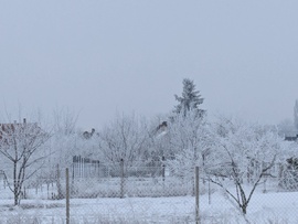 Polgárdi zúzmara, pára, 