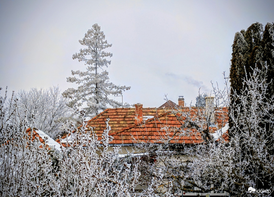 Polgárdi, borult, zúzmarás, -5 C