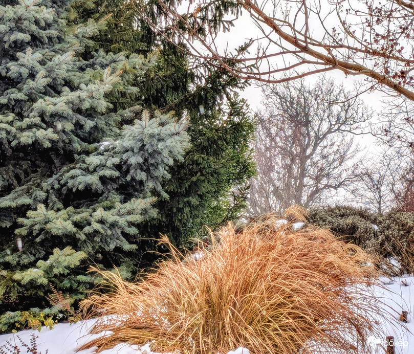 Polgárdi hol ez esik, hol az :)) +2 C