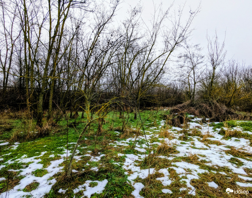 Polgárdi, gyenge eső, É-K-i szellő, +5 C