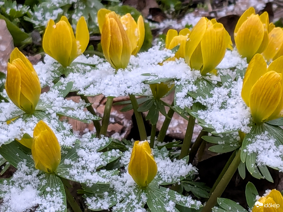 Polgárdi , ez van...