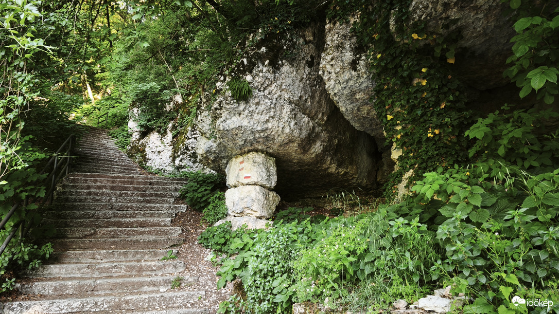 Természet